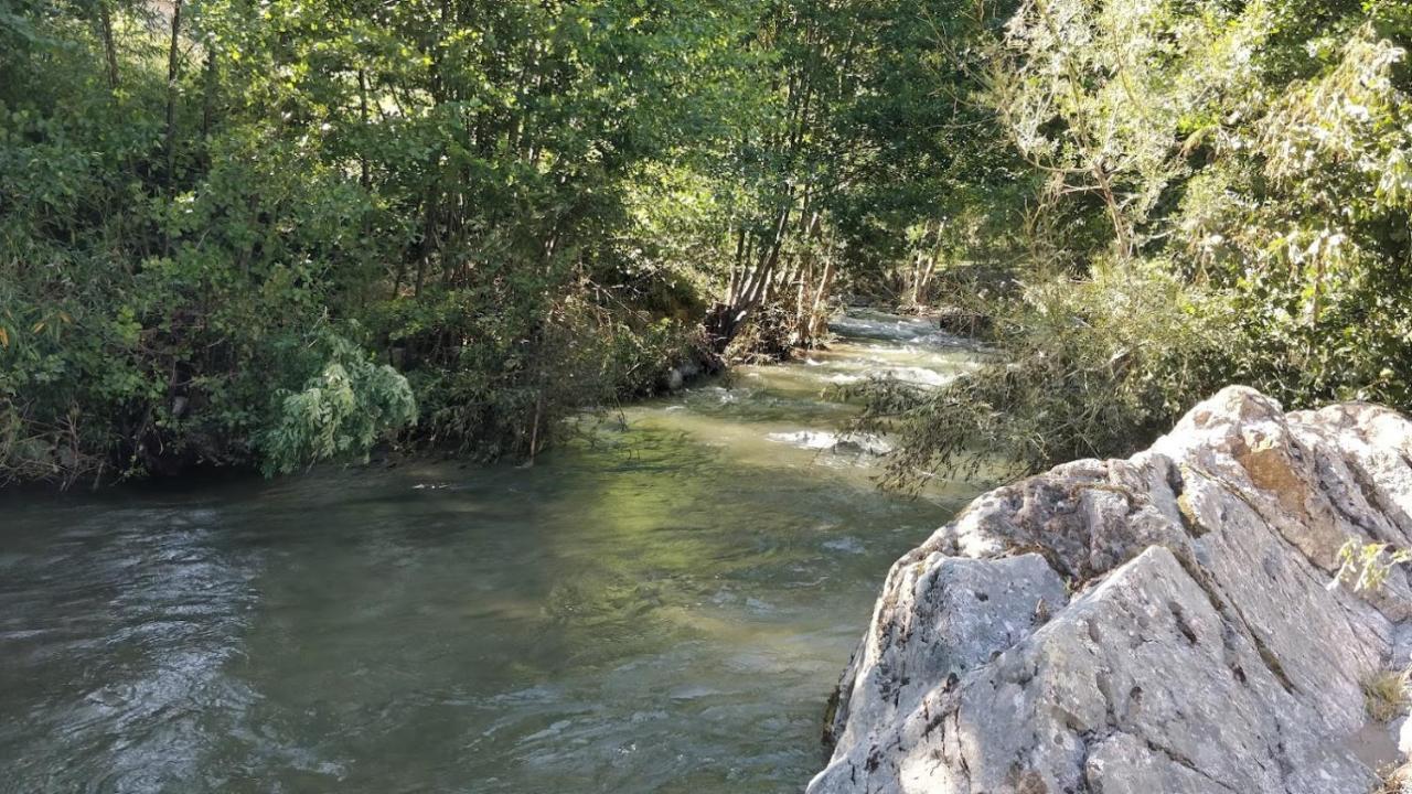 Maisonette En Cevennes Notre-Dame-de-la-Rouvière Екстериор снимка